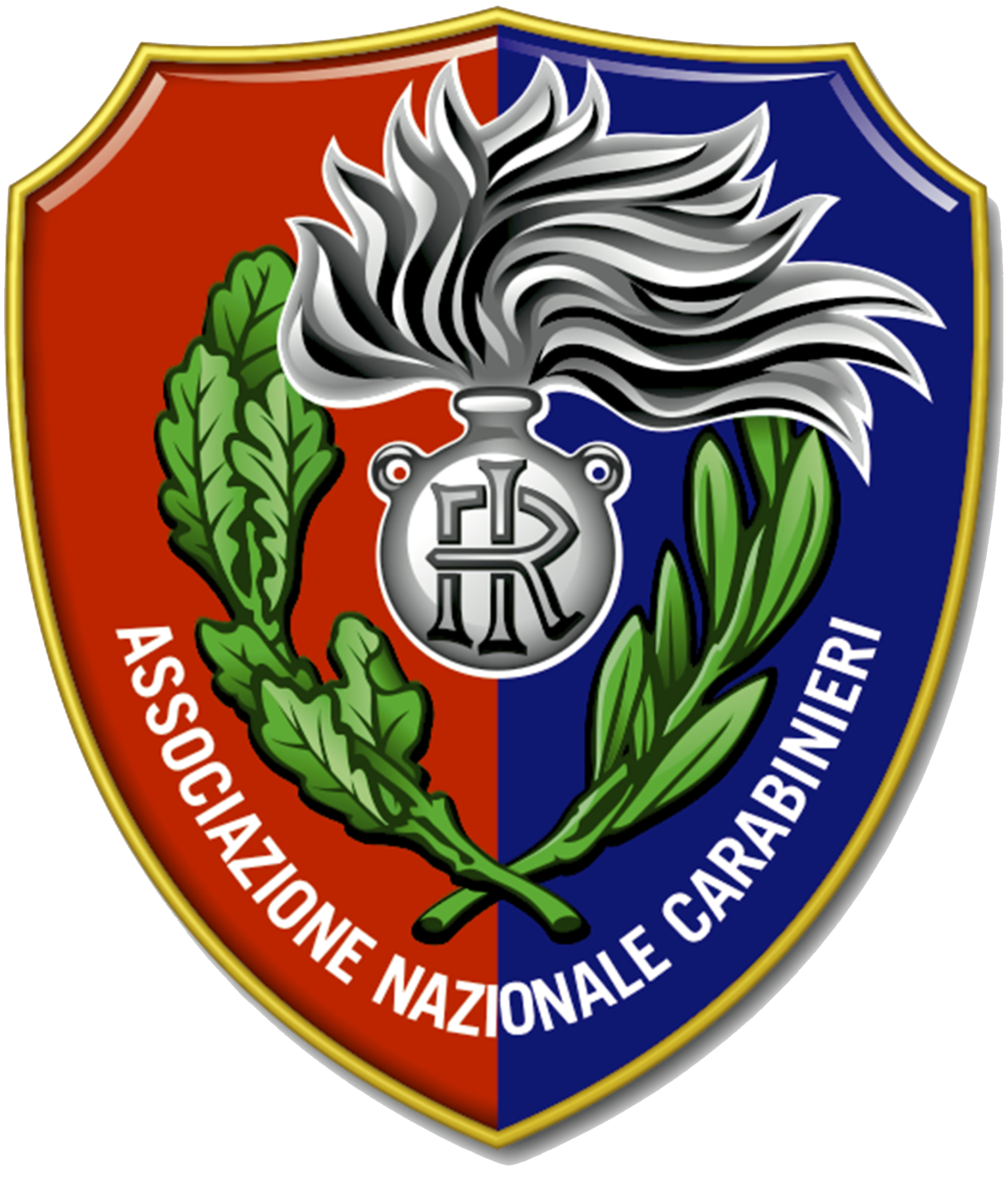Logo ANC